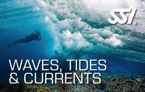Waves, Tides & Currents