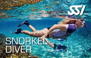 Snorkel Diver / Schnorcheln