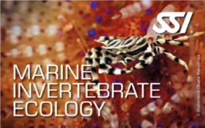 Marine Invertebrate Ecology
